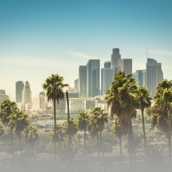 Reshape the Beauty Industry With Element in Los Angeles